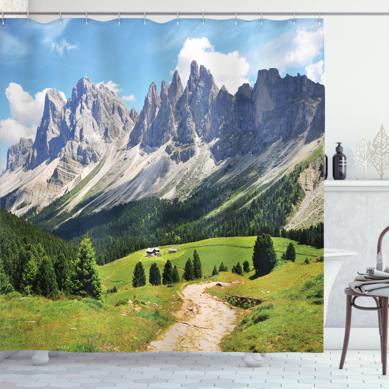 Pathway to Forest Alps Shower Curtain