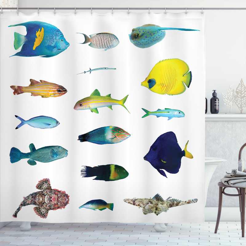 Marine Life Creatures Shower Curtain