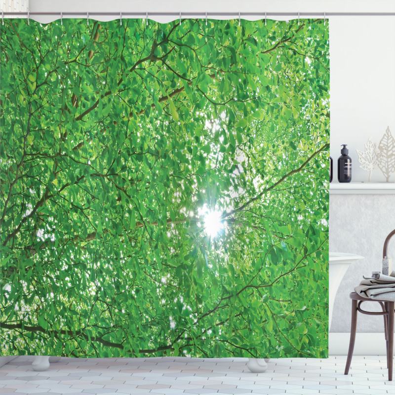 Sun with Tree Branches Shower Curtain