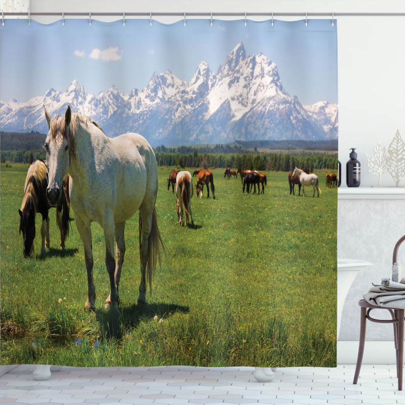 Horses Shower Curtain