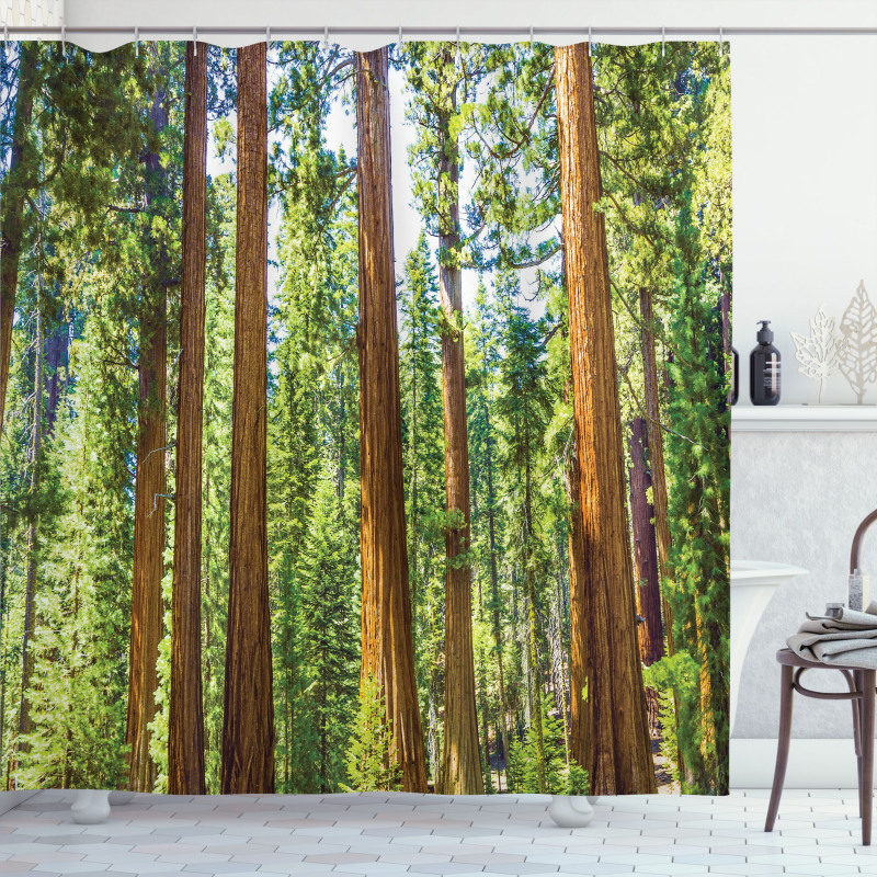 Braches in Spring Shower Curtain