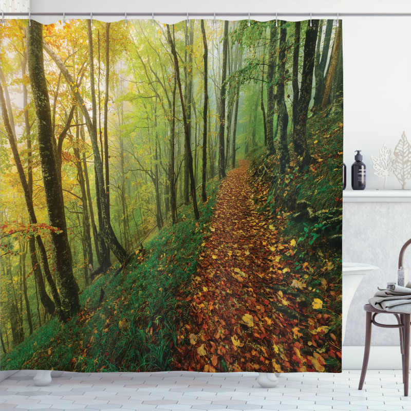 Forest Path View Shower Curtain