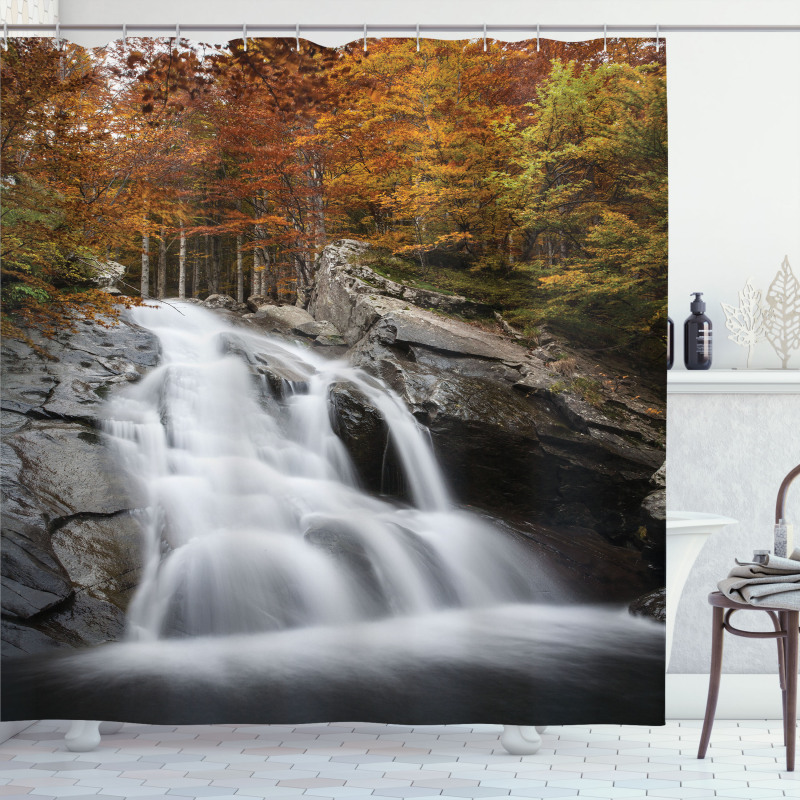 Fall Trees with Lake Shower Curtain