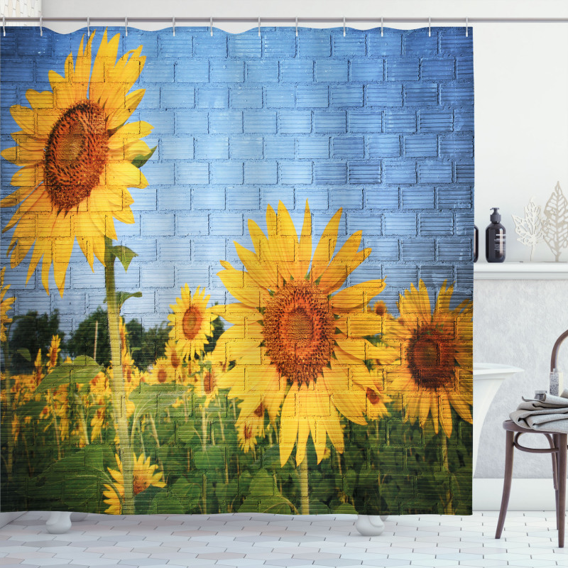 Sunflowers on the Wall Shower Curtain