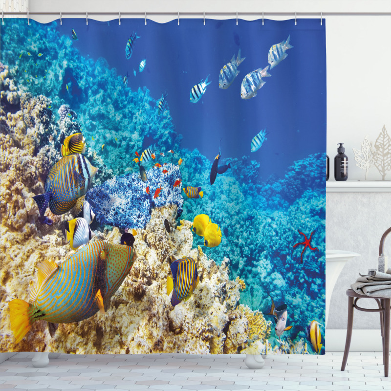 Aquatic Corals Shower Curtain