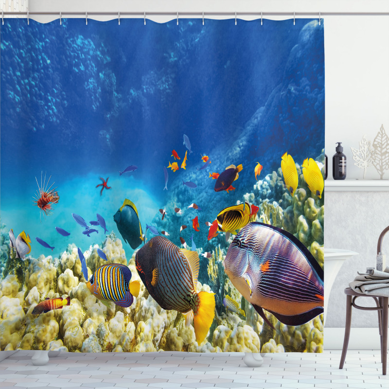 Ocean Animals Shower Curtain