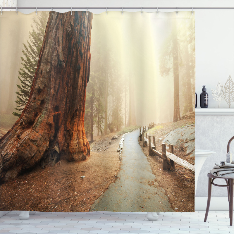 Foggy Forest Woods Shower Curtain