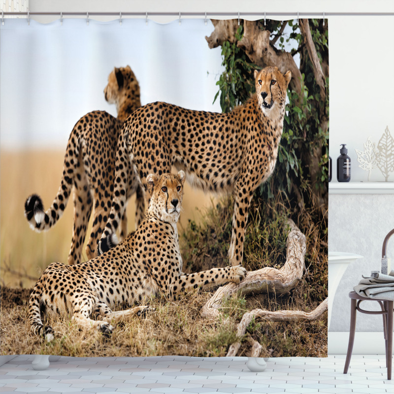 Safari Animal Cheetahs Shower Curtain
