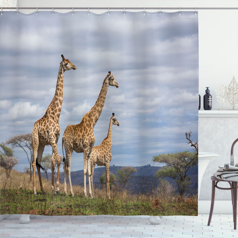 Giraffe Family Shower Curtain