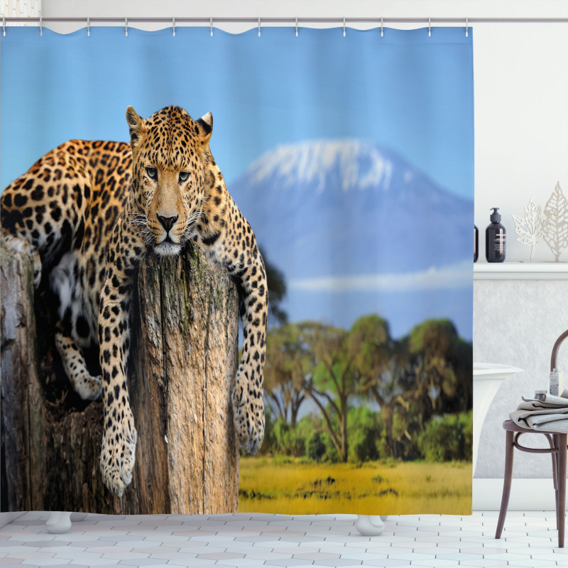 Leopard on a Tree Shower Curtain