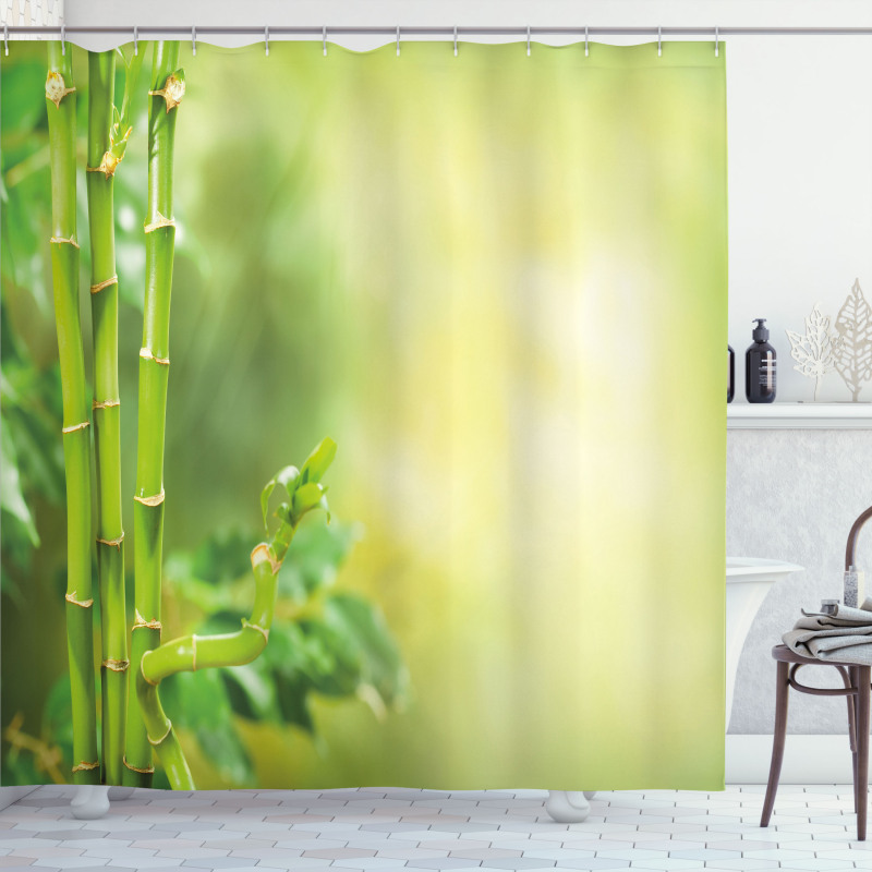 Bamboos Green Trees Shower Curtain