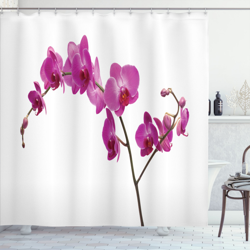 Wild Orchids Petals Shower Curtain