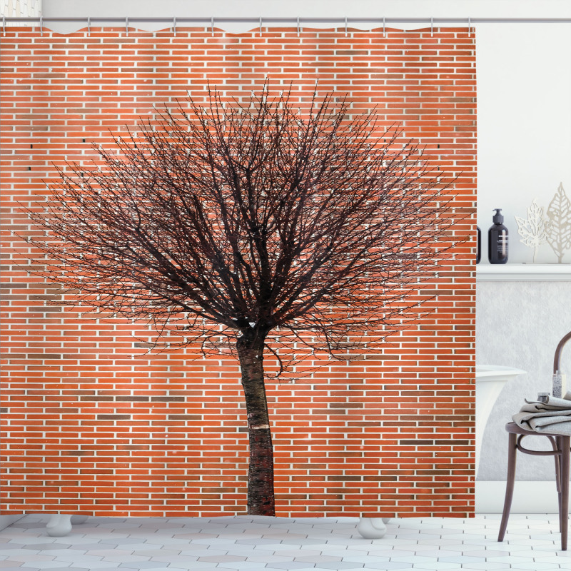 Brick Wall Lonely Fall Tree Shower Curtain