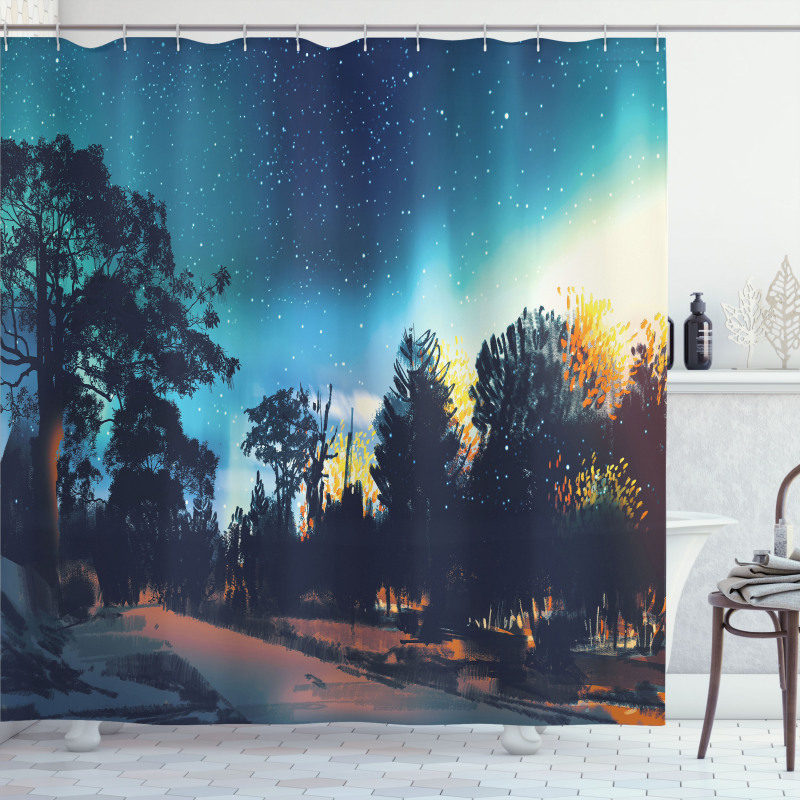 Aurora Borealis Night Shower Curtain
