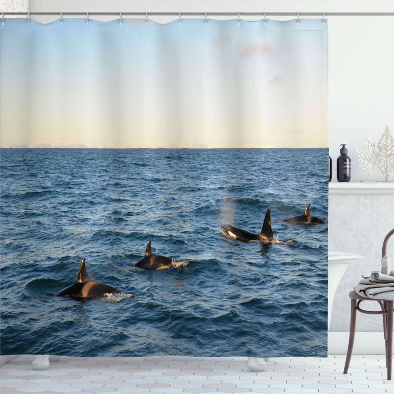 Whales in SeOcean Shower Curtain