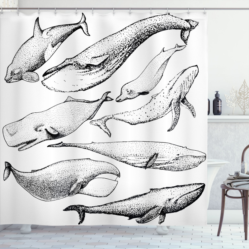 Hand Drawn Single Whale Shower Curtain
