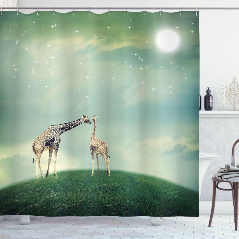 Fairytale Atmosphere Shower Curtain
