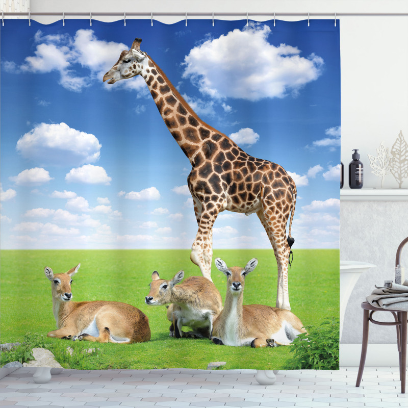 Zoo Animals Shower Curtain