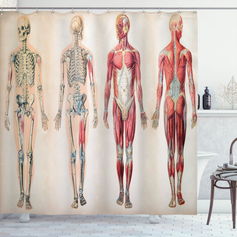 Anatomy Human Body Shower Curtain