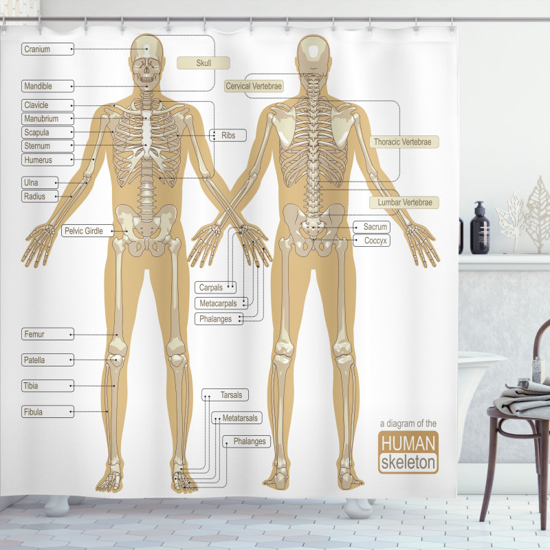 Human Skeleton System Shower Curtain