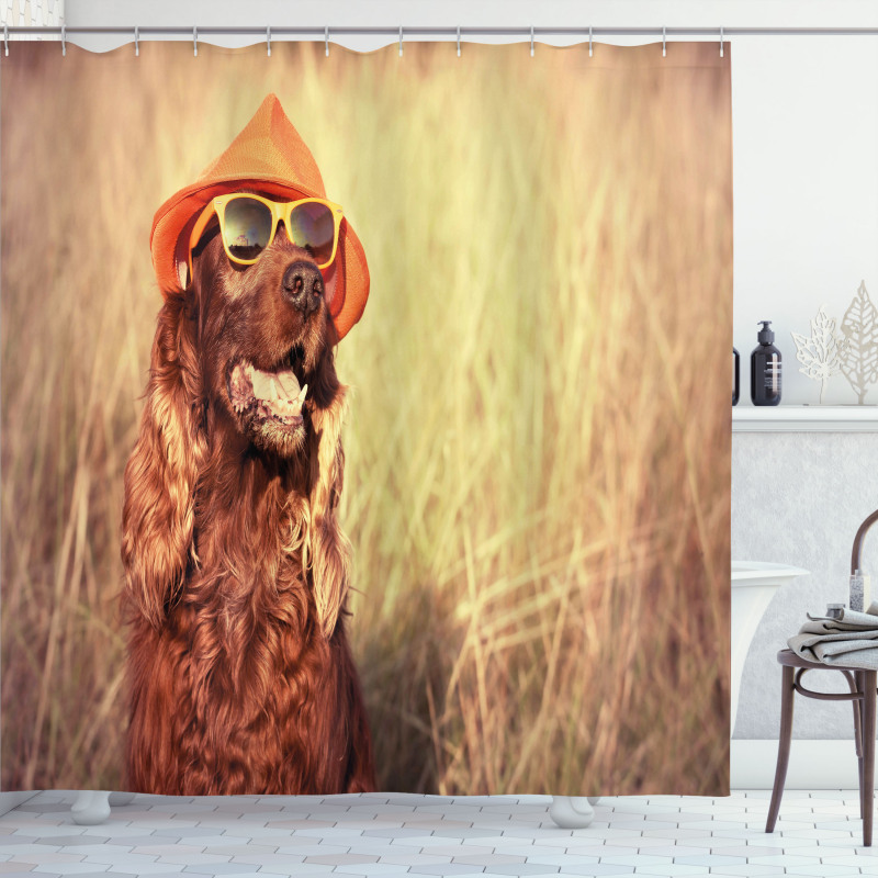 Dog Wearing Hat Glasses Shower Curtain