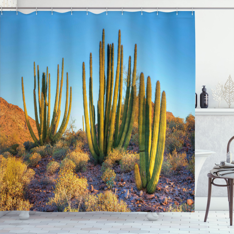 Mountain Cactus Photo Shower Curtain