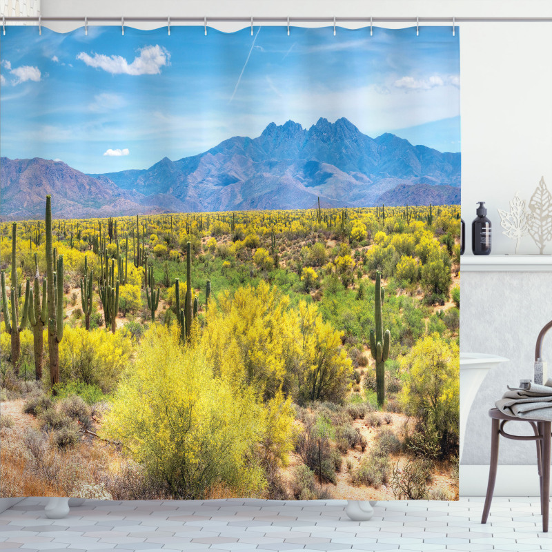Landscape of Desert Shower Curtain