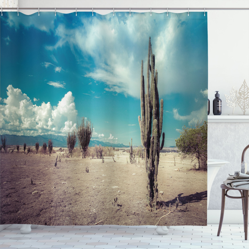 Sunny Hot Desert Plant Shower Curtain