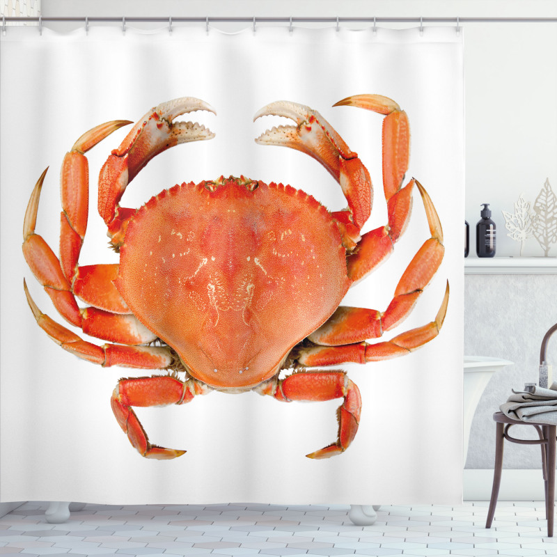 Cooked Dungeness Crab Shower Curtain