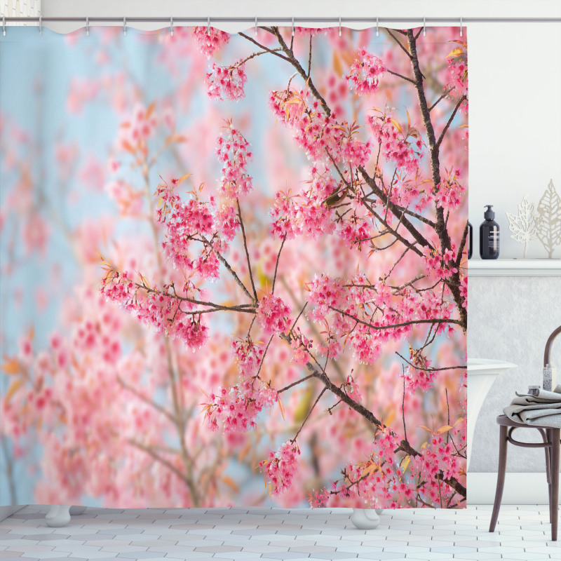 Japanese Sakura Cherry Shower Curtain