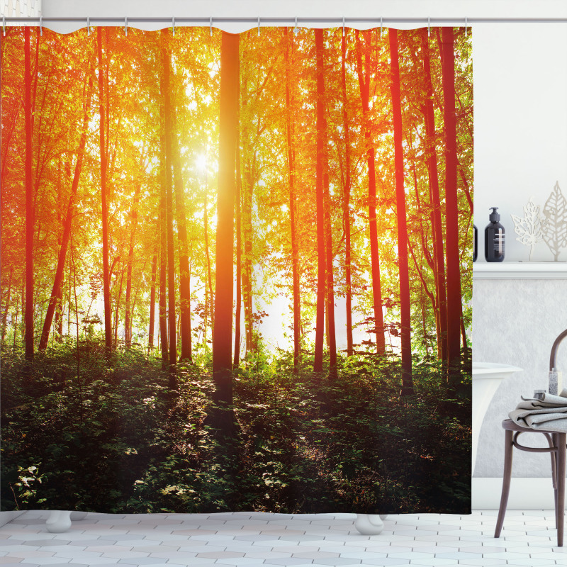 Foggy Forest Scenery Shower Curtain