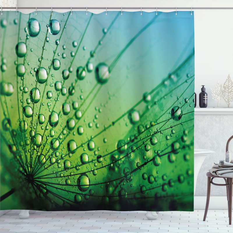 Photo of Dandelion Seeds Shower Curtain