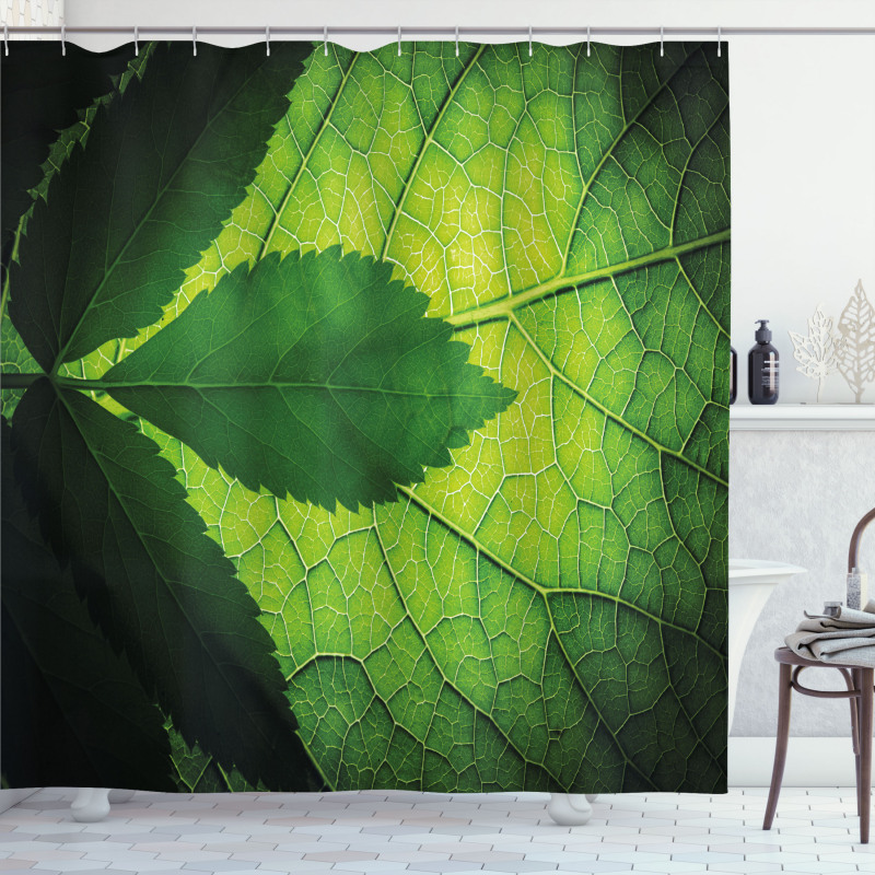 Brazilian Tree Leaf Eco Shower Curtain