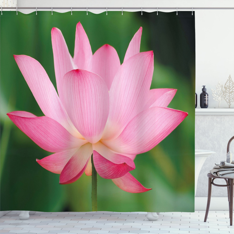 Lotus Lily Blossom Shower Curtain