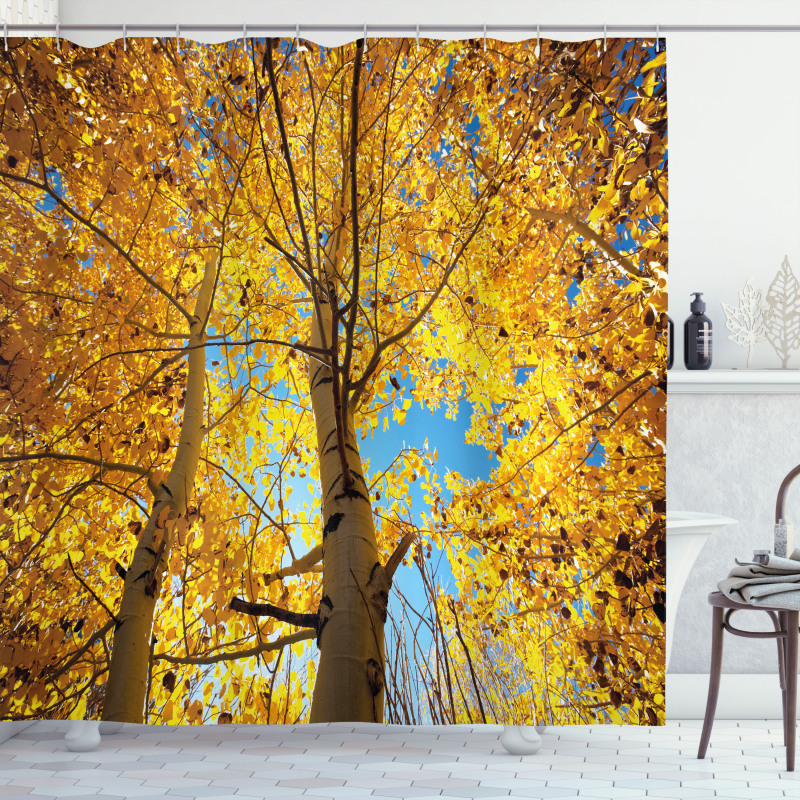 Autumn Trees Leaf Forest Shower Curtain