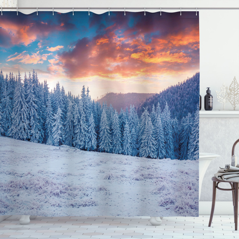 Winter Snowy Forest Sky Shower Curtain