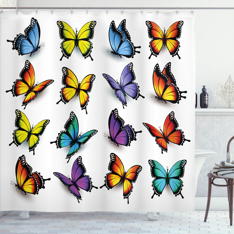 Colorful Wings Spring Shower Curtain