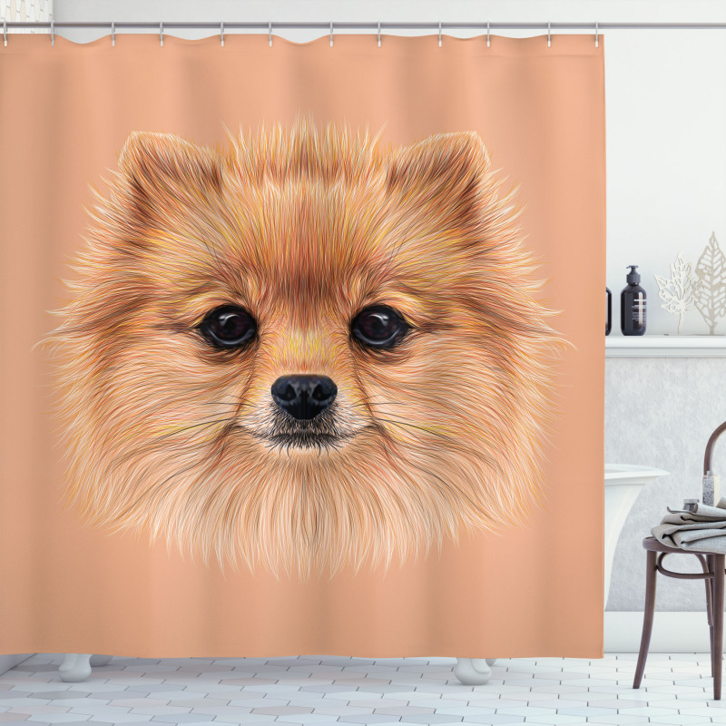 Vintage Pomerian Dog Shower Curtain