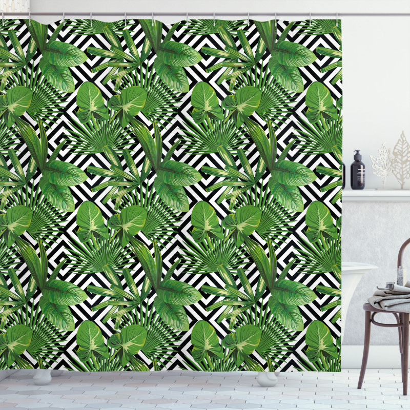 Modern Coconut Palm Shower Curtain