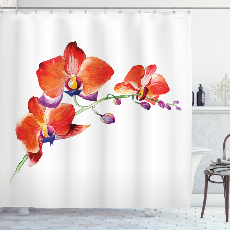 Orchid Branch Blooms Shower Curtain