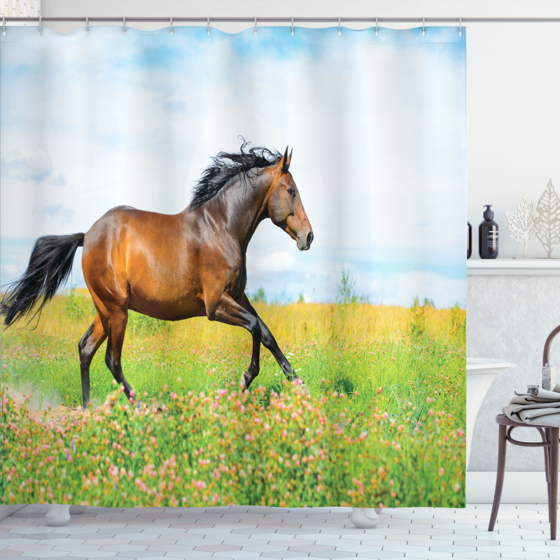 Horse Rural Flowers Shower Curtain