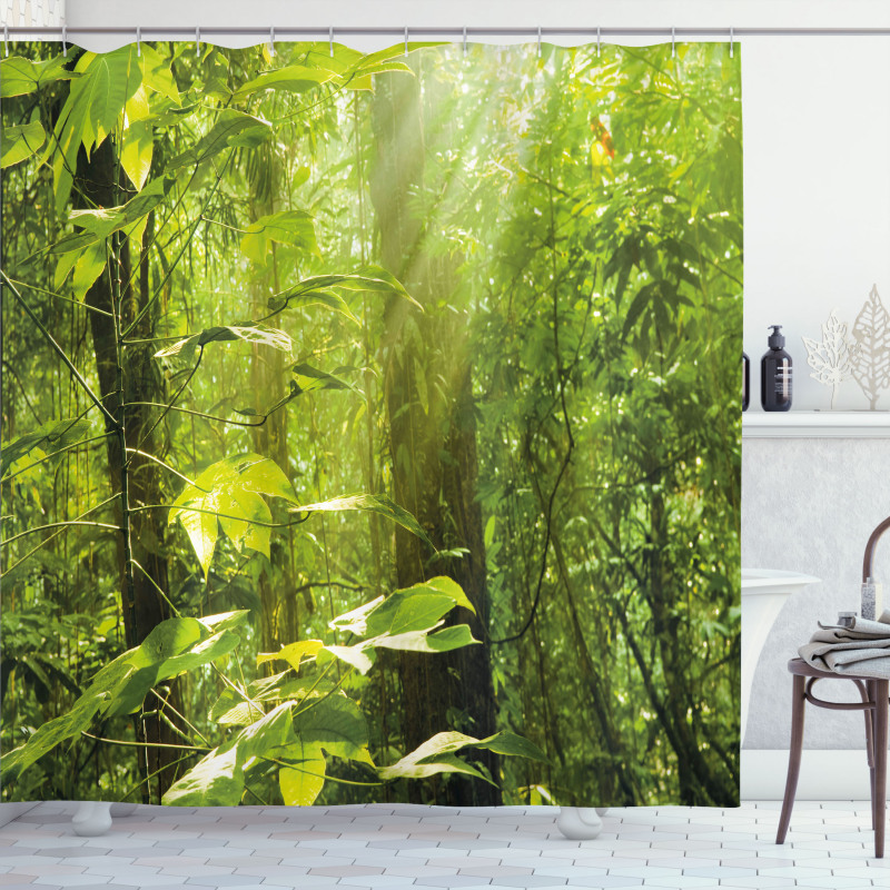Leaf Branches Woodland Shower Curtain