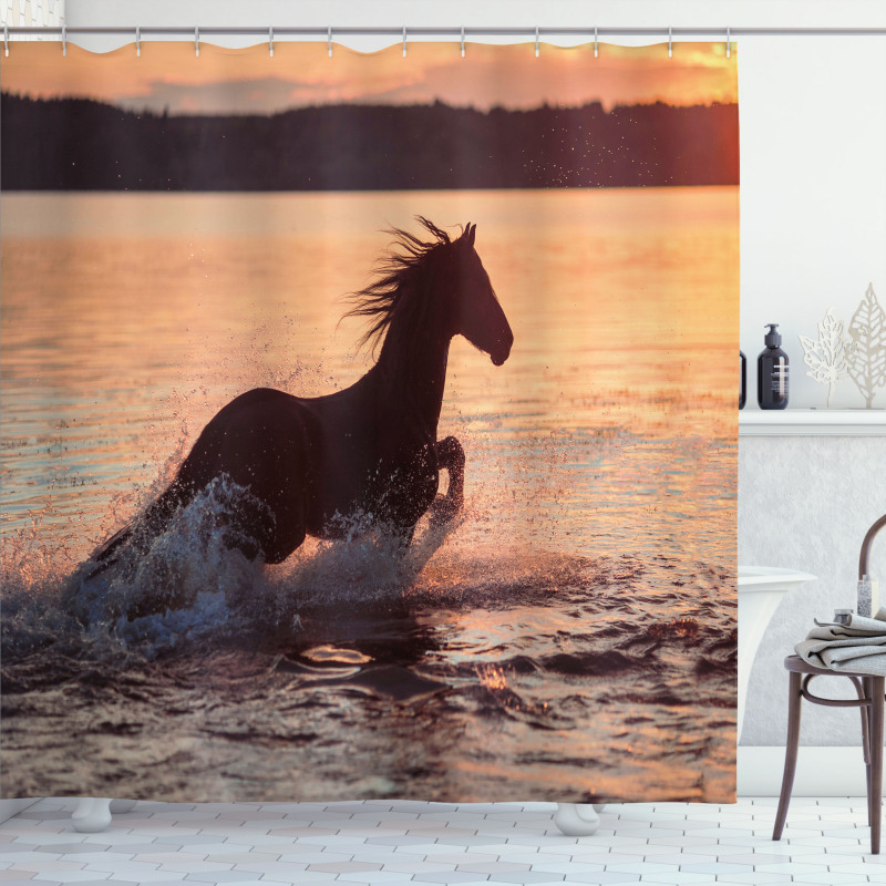 Horse Sea at Sunset Shower Curtain