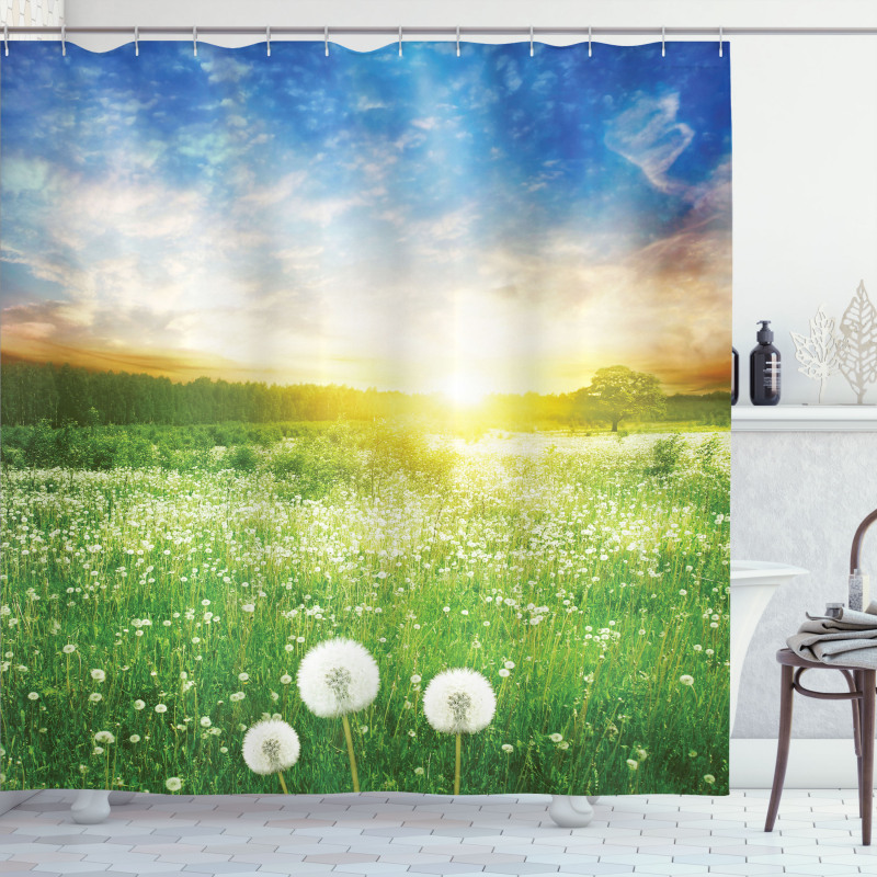 Dandelion Flower Field Shower Curtain