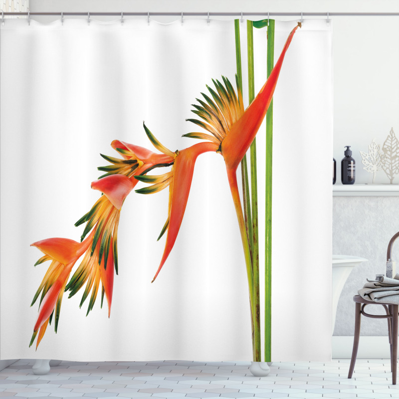 Exotic Flower Branch Shower Curtain