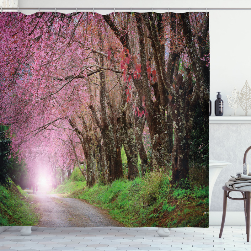 Park in Chiang Mai Shower Curtain