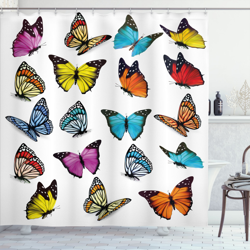 Butterflies Composition Shower Curtain