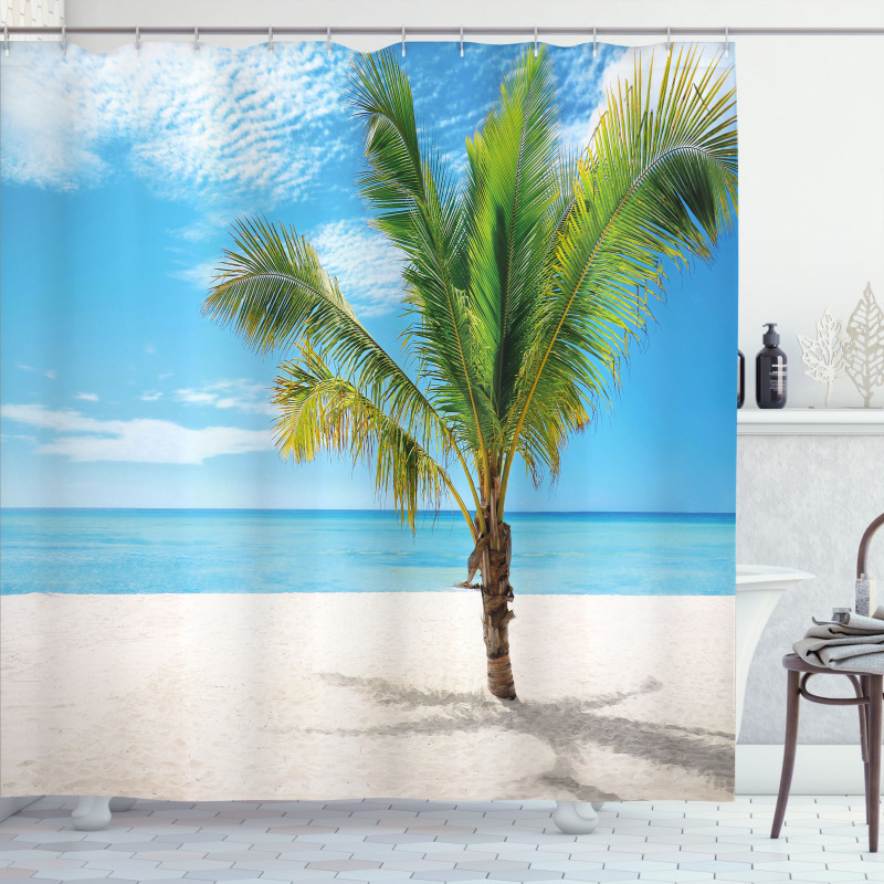 Coconut Palm at Beach Shower Curtain