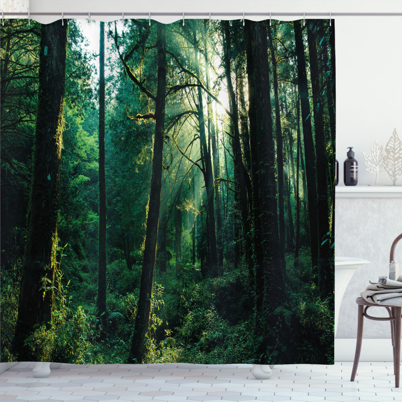 Sunset in Woods Trees Shower Curtain