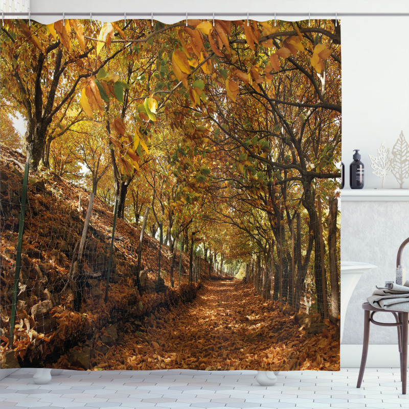 Autumn Foliage Forest Shower Curtain